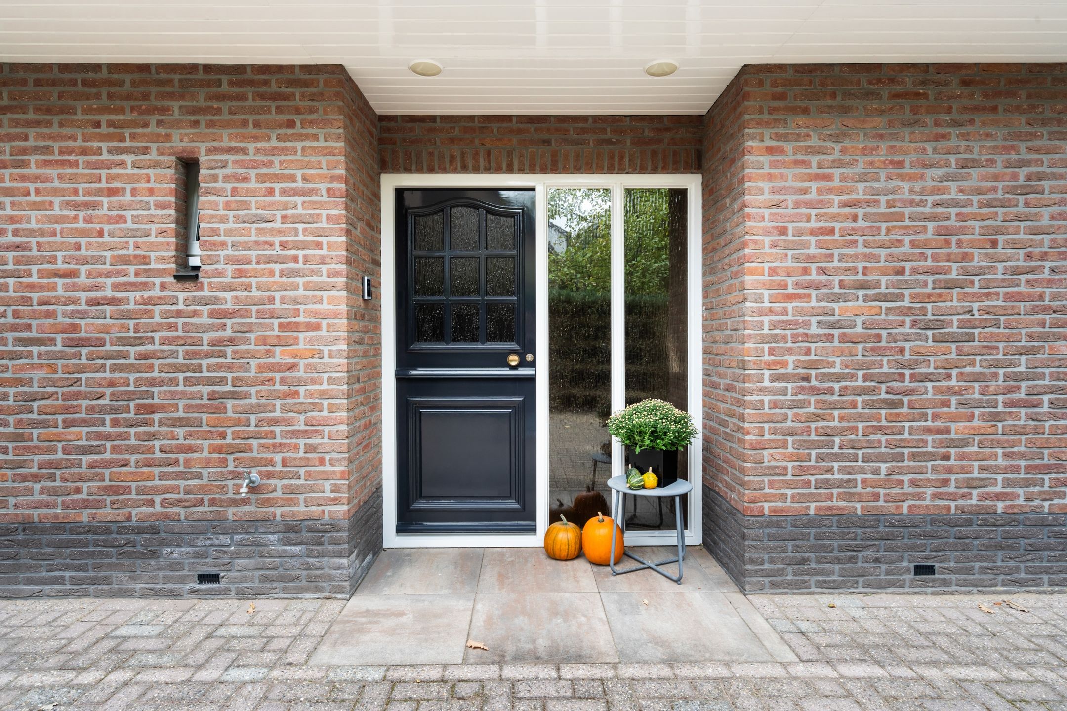 Foto 51 van Egypte 2