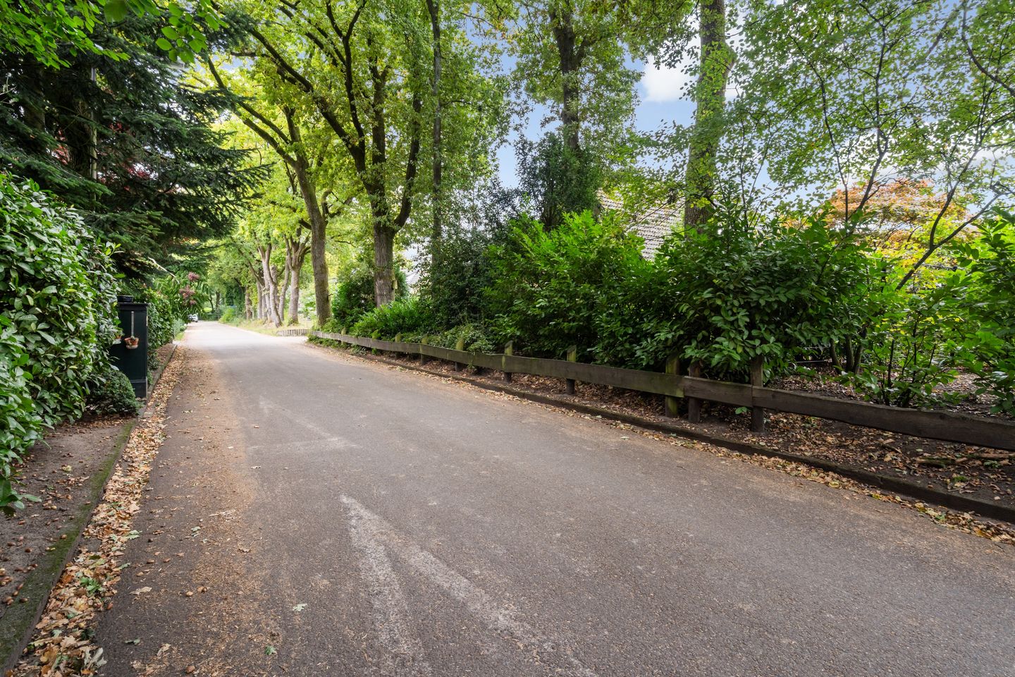 Foto 55 van Egypte 2