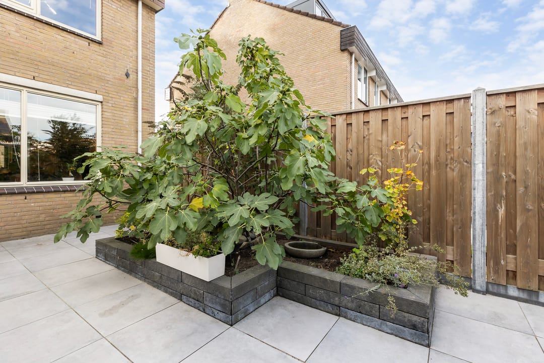 Foto 2 van Mendelssohnplantsoen 11