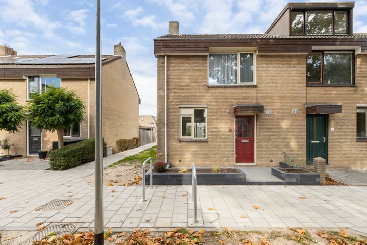 Foto 5 van Mendelssohnplantsoen 11