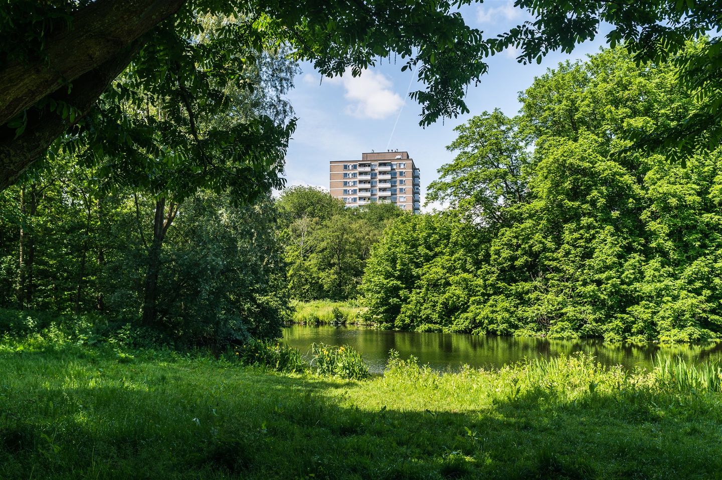 Foto 25 van Nachtwachtlaan 304