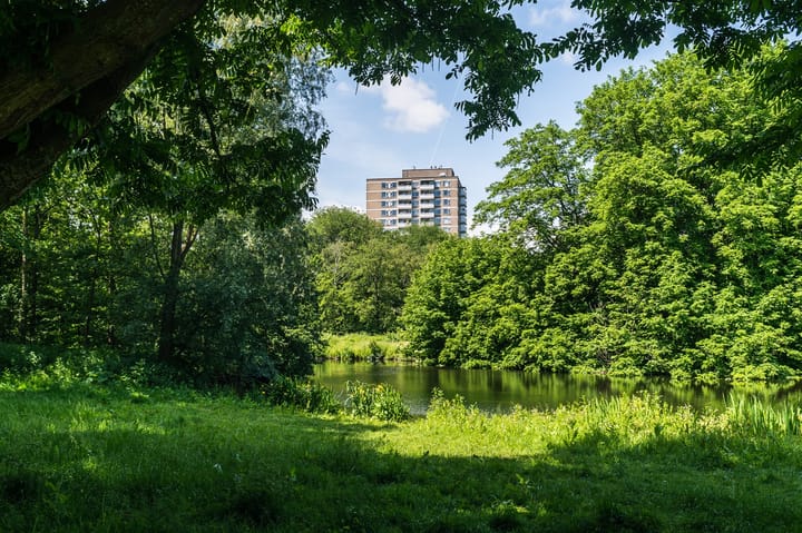 Foto 25 van Nachtwachtlaan 304