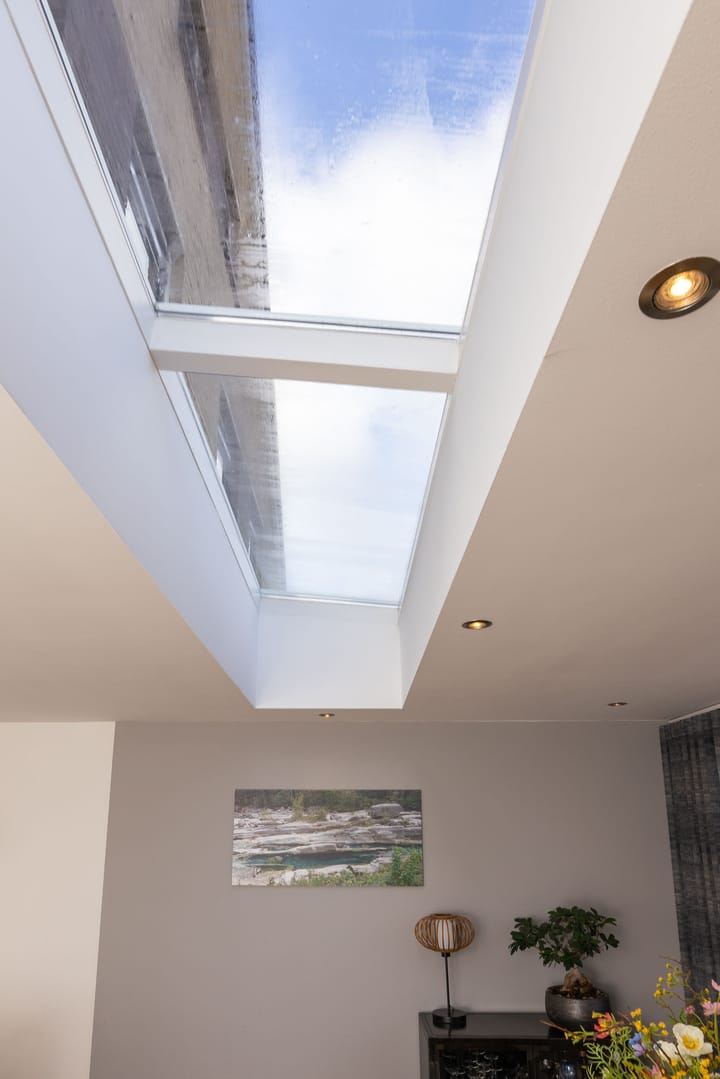 Foto 19 van Dorsvlegel 36