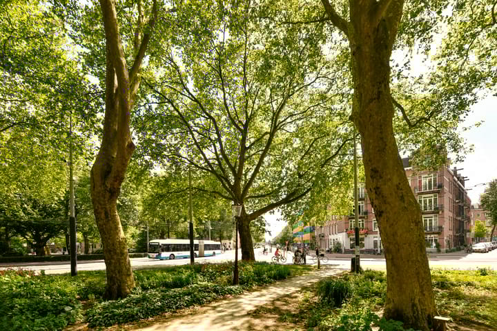 Photo 20 of Frederik Hendrikstraat 10-3