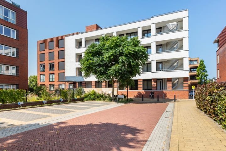 Foto 7 van Poelruit 104