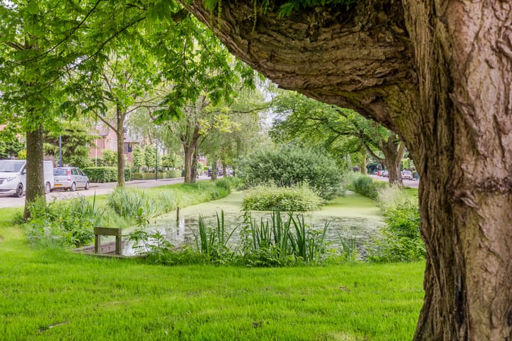 Foto 68 van Rond de Watertoren 11