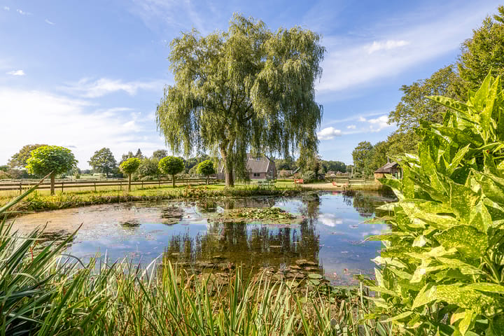 Foto 76 van Scheuterdijk 33