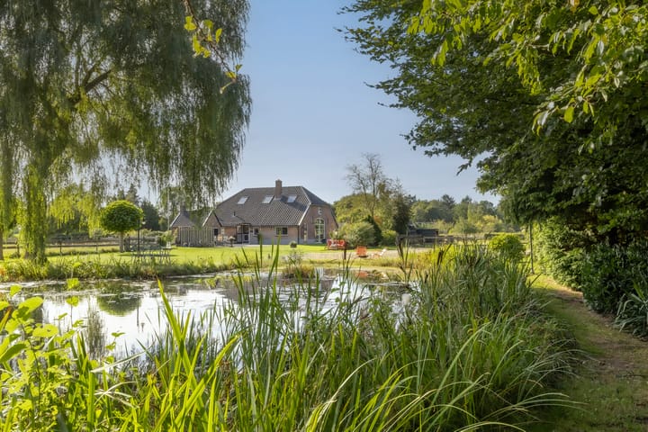 Foto 10 van Scheuterdijk 33