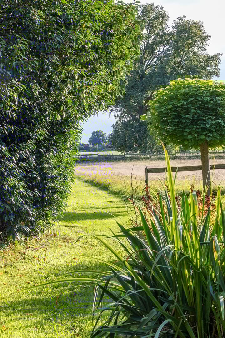 Foto 12 van Scheuterdijk 33