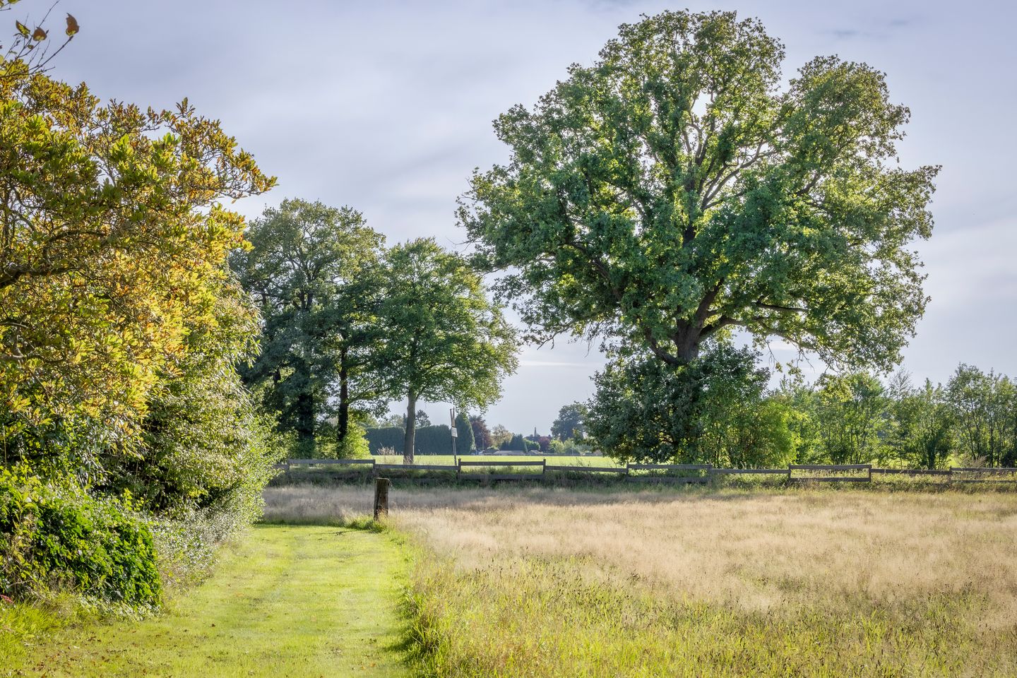 Foto 14 van Scheuterdijk 33