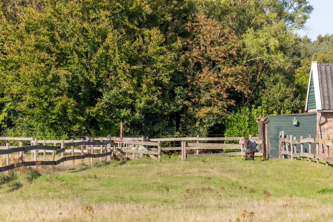 Foto 17 van Scheuterdijk 33