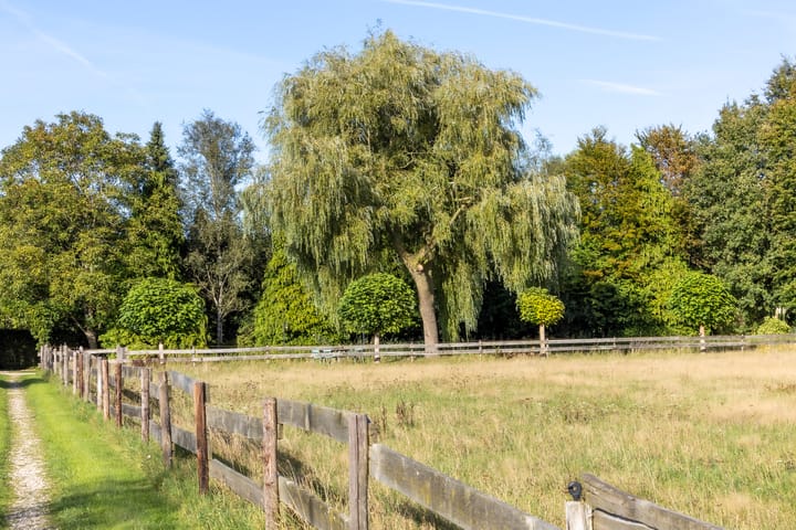 Foto 19 van Scheuterdijk 33