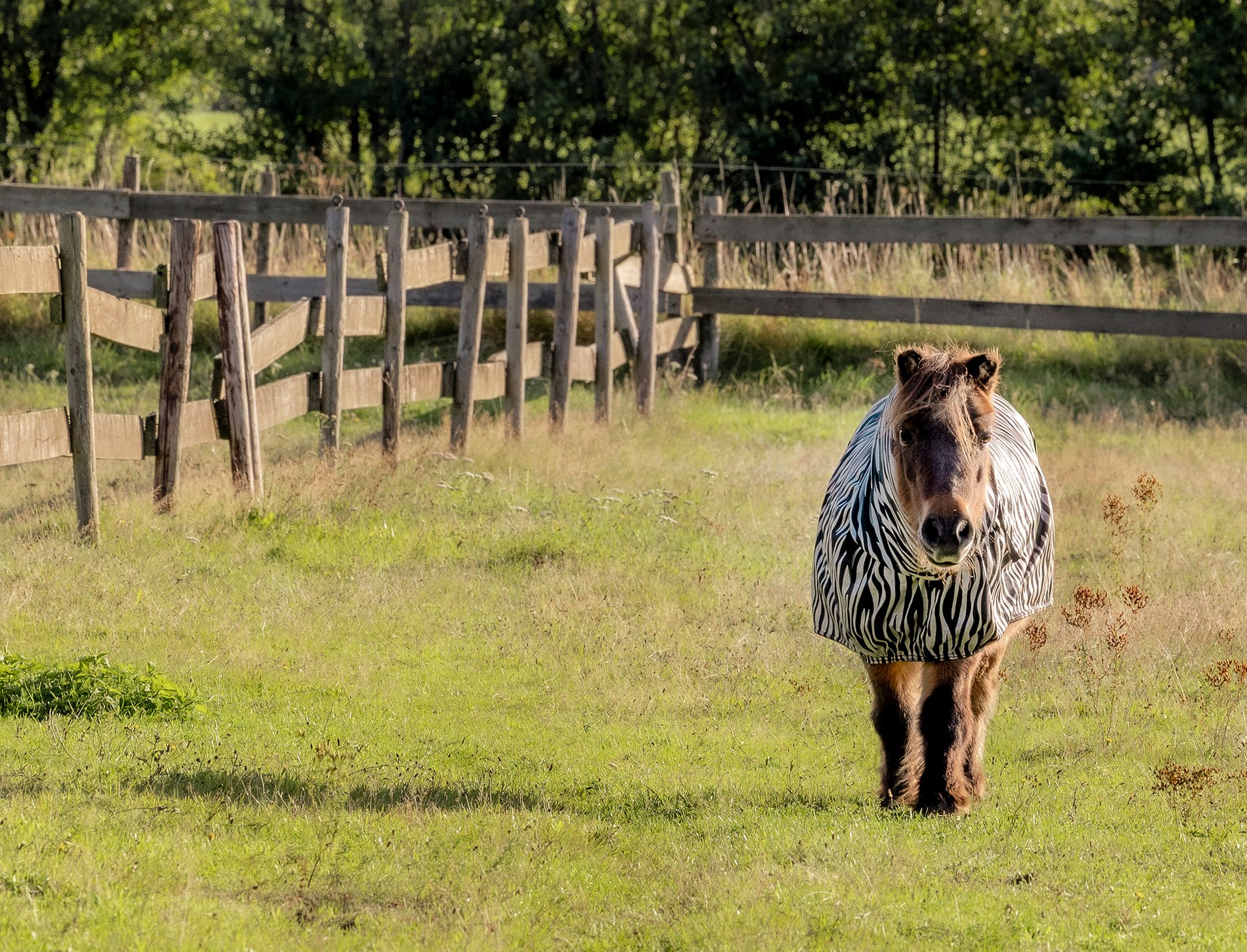 Foto 18 van Scheuterdijk 33