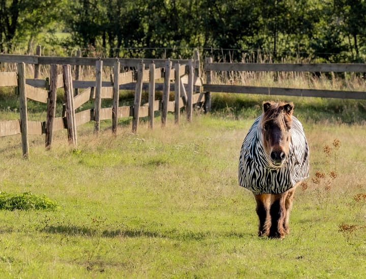 Foto 18 van Scheuterdijk 33