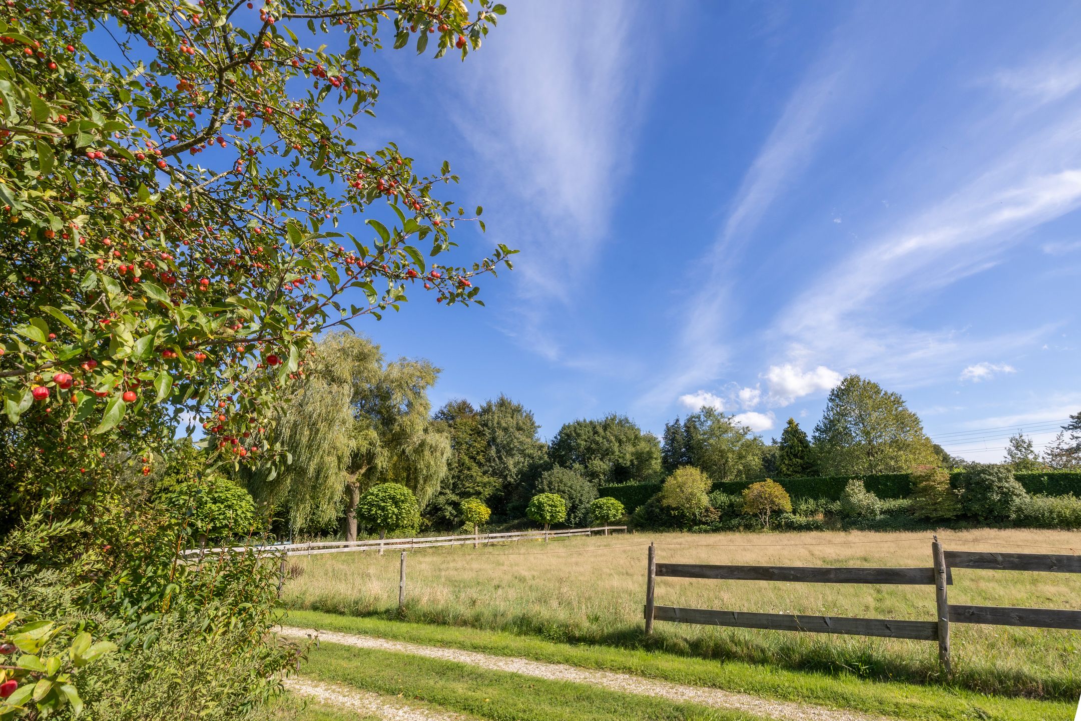 Foto 72 van Scheuterdijk 33