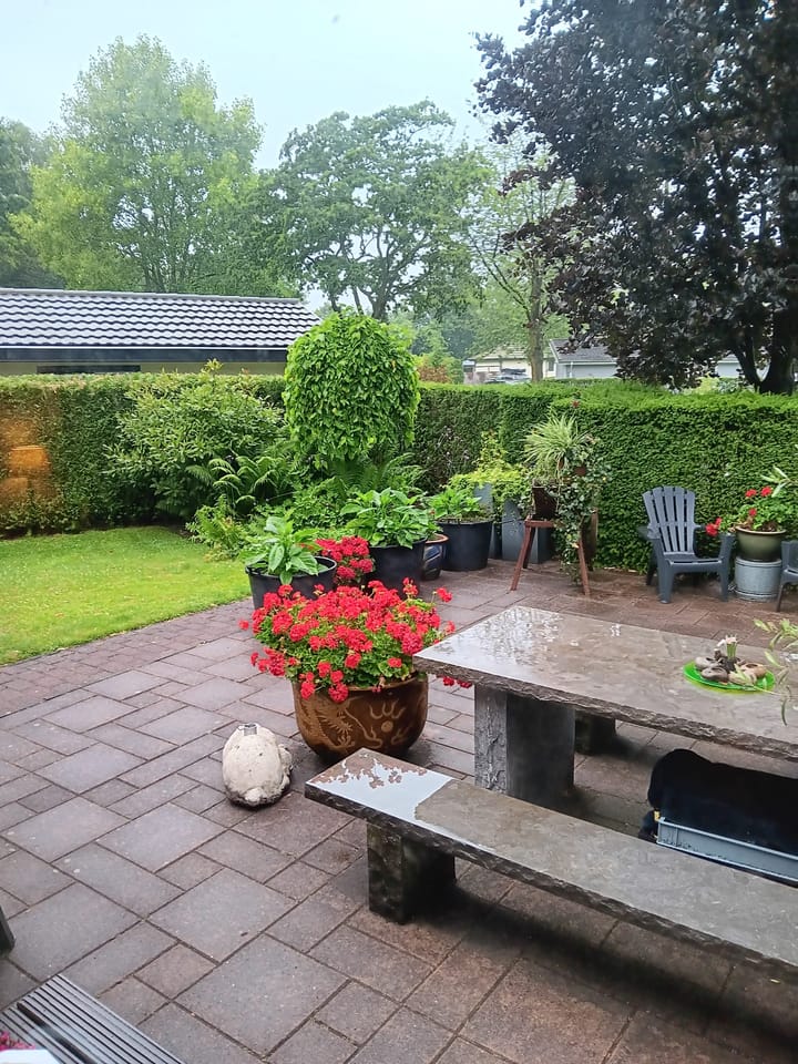 Foto 3 van Boschlaan 26-05