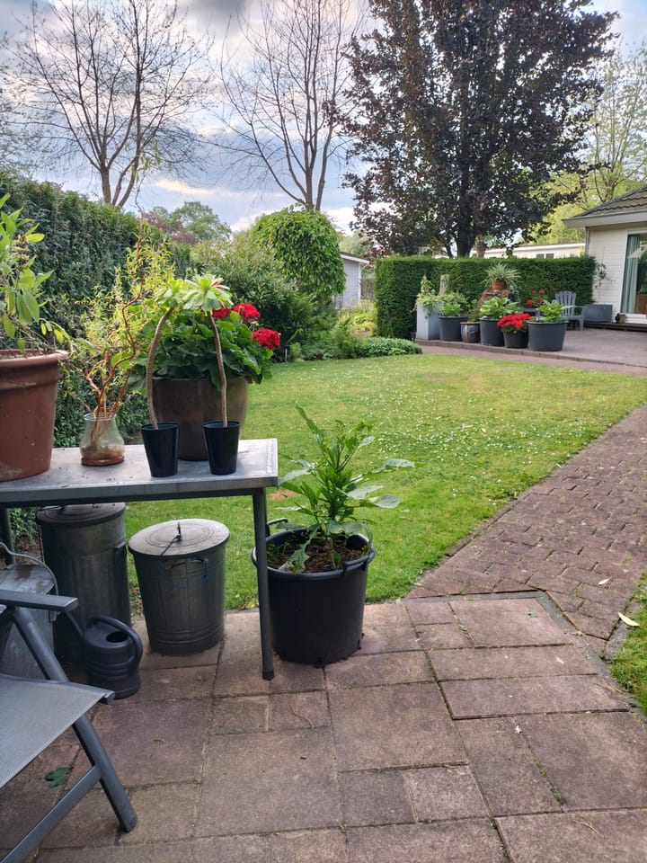 Foto 21 van Boschlaan 26-05