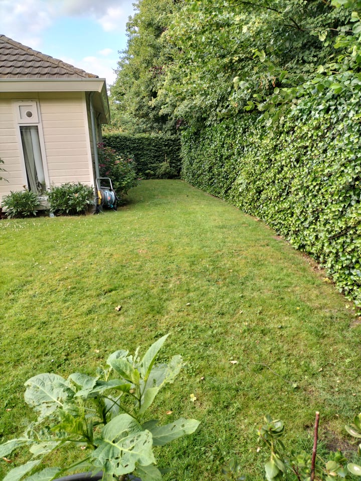 Foto 23 van Boschlaan 26-05