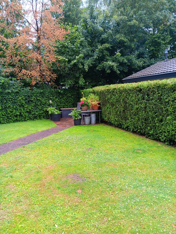 Foto 24 van Boschlaan 26-05