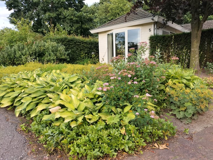 Foto 29 van Boschlaan 26-05