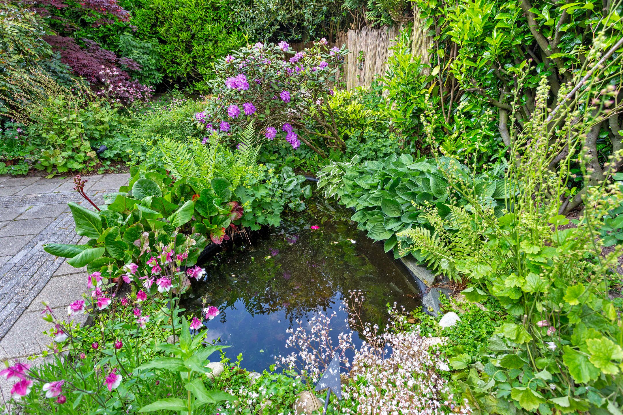 Foto 45 van Figaropad 5