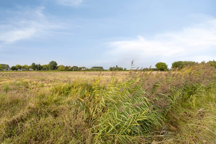 Foto 32 van Trompstraat 9