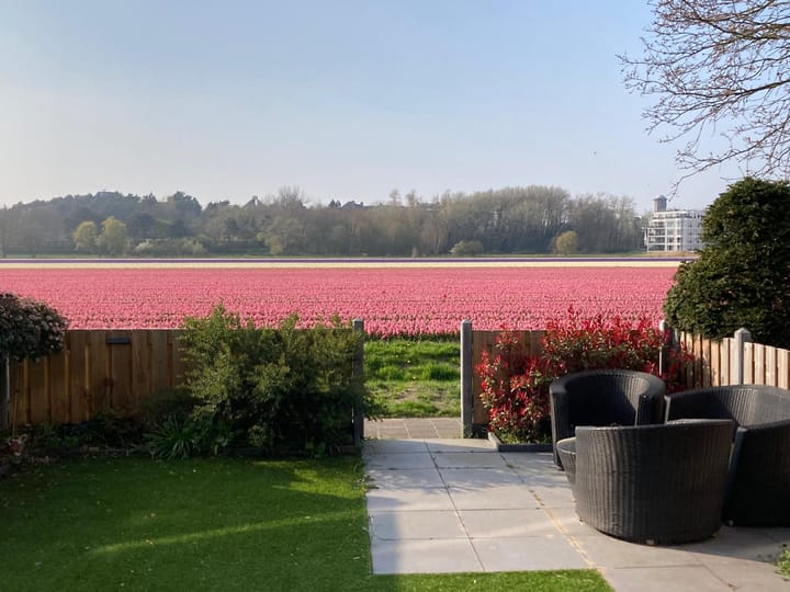 Foto 20 van An van Gilsehof 31