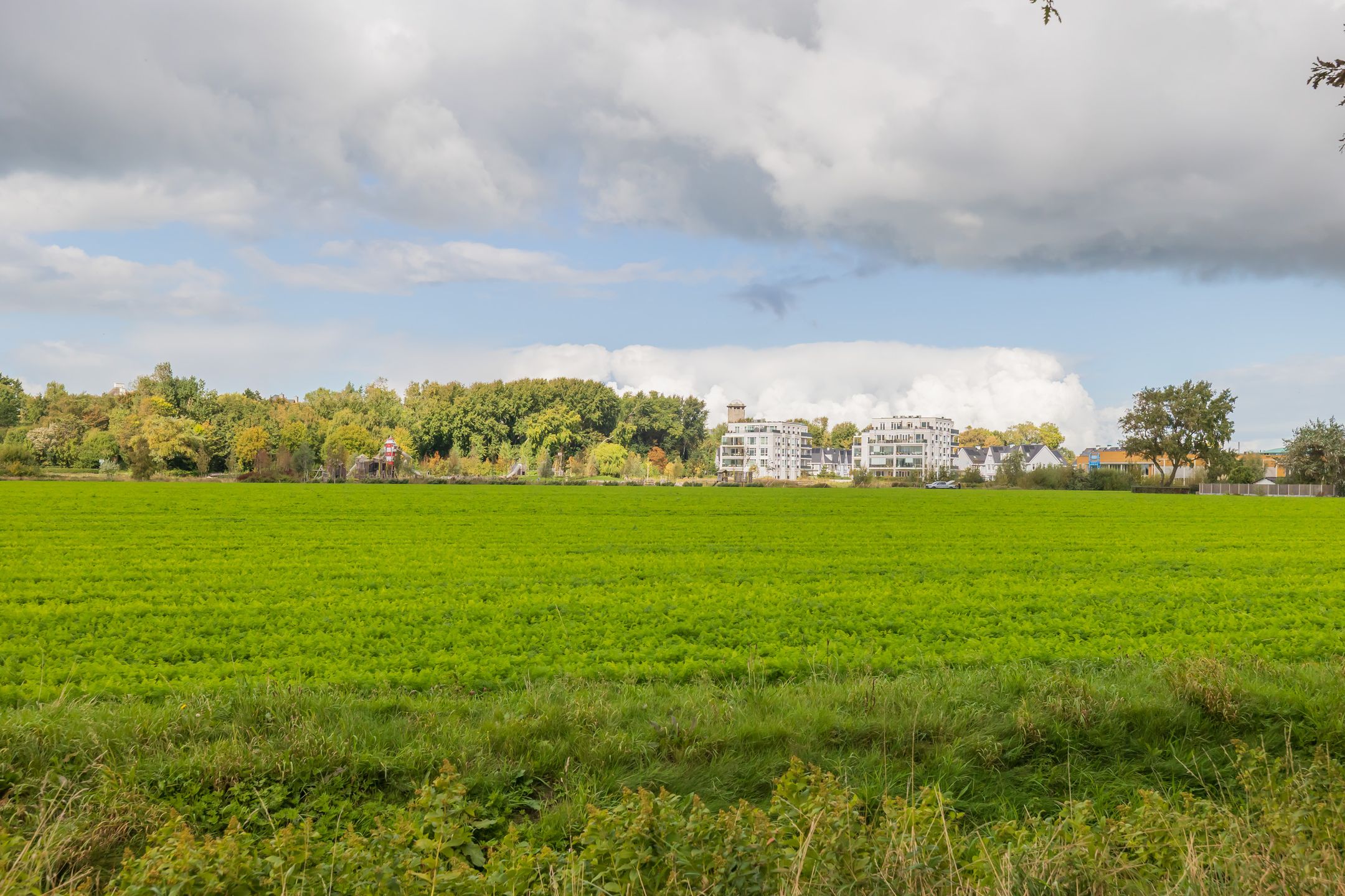 Photo 21 of An van Gilsehof 31