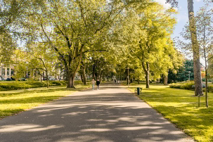 Foto 31 van Oudwijkerveldstraat 110