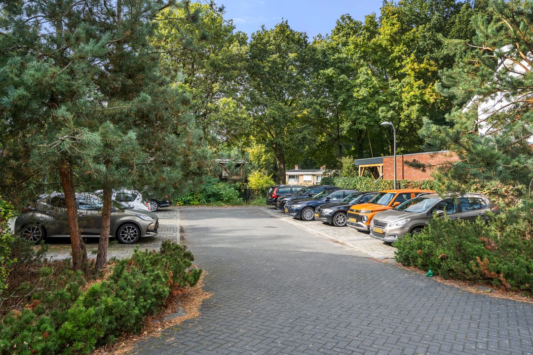 Photo 43 of Bivak 10