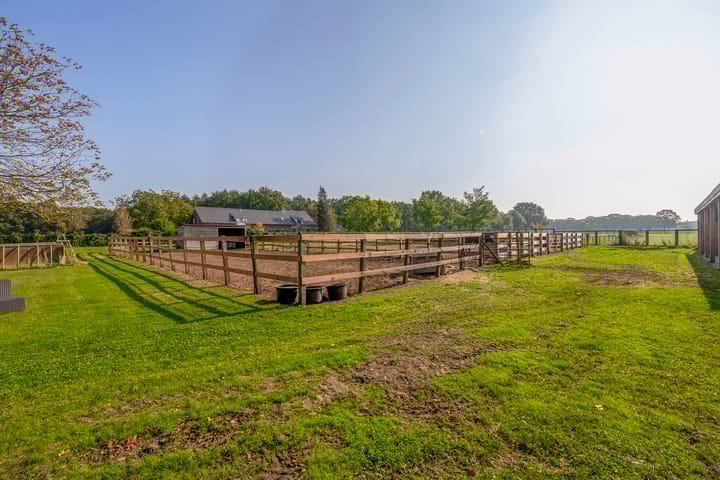 Photo 4 of Hoevensestraat 10