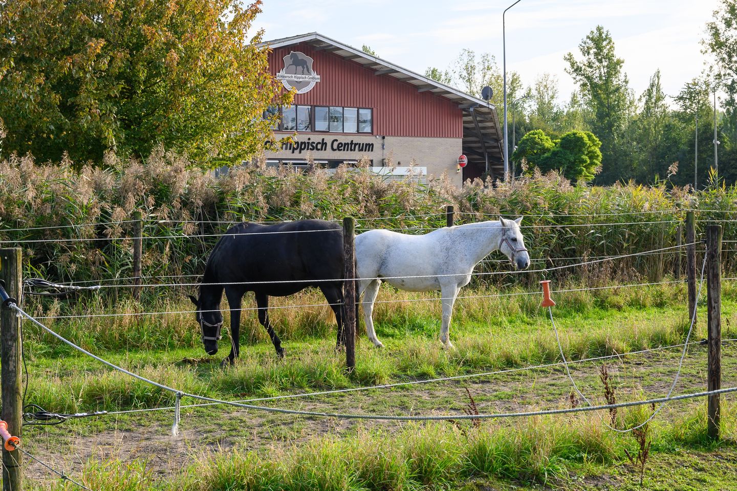 Foto 25 van Chagallweg 51