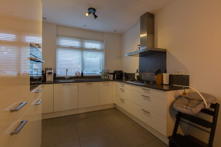 Foto 9 van Dorsvlegel 1