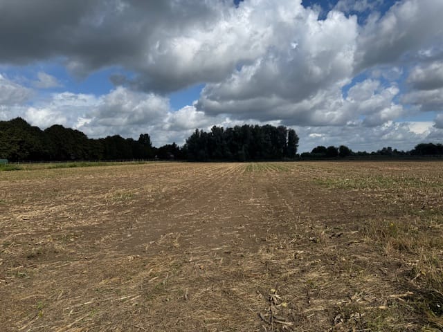 View photo 4 of Provincialeweg