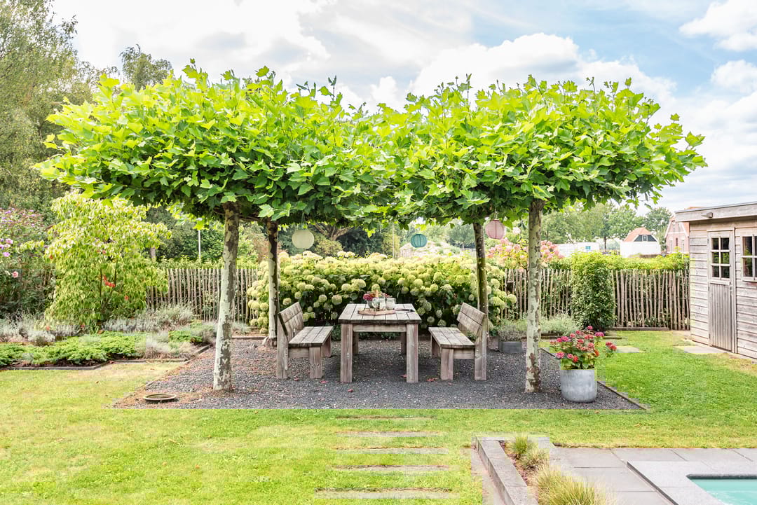 Foto 62 van Rozemarijn 36