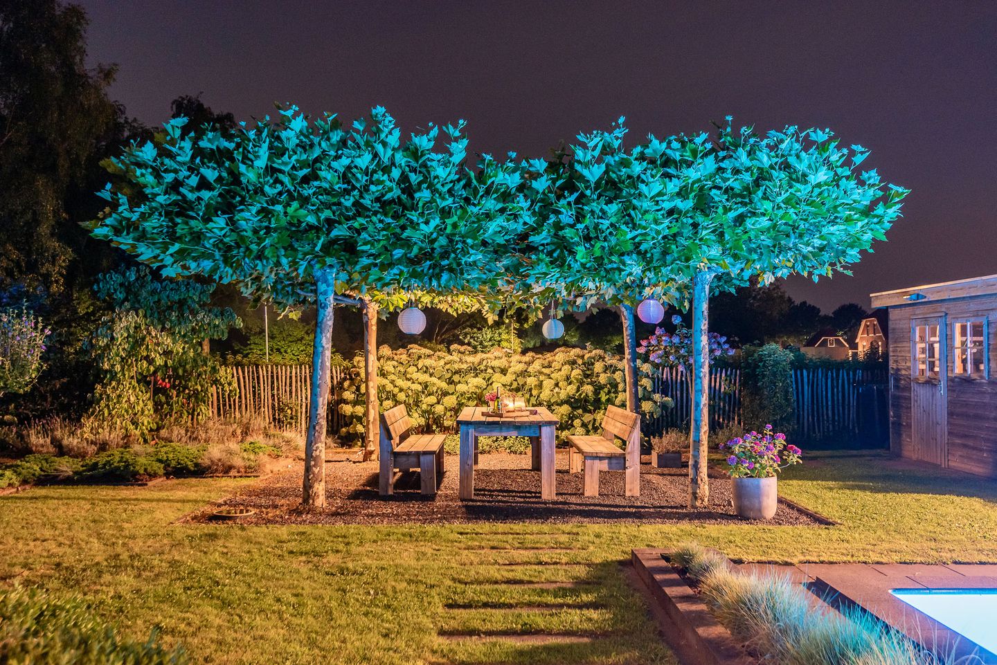 Foto 70 van Rozemarijn 36