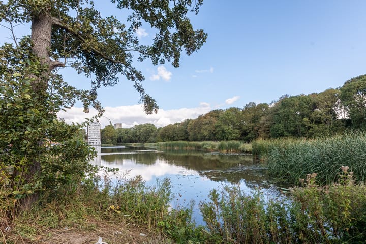 Photo 41 of Van Moorselplantsoen 18