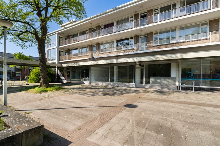 Denenburg 49, Den Haag