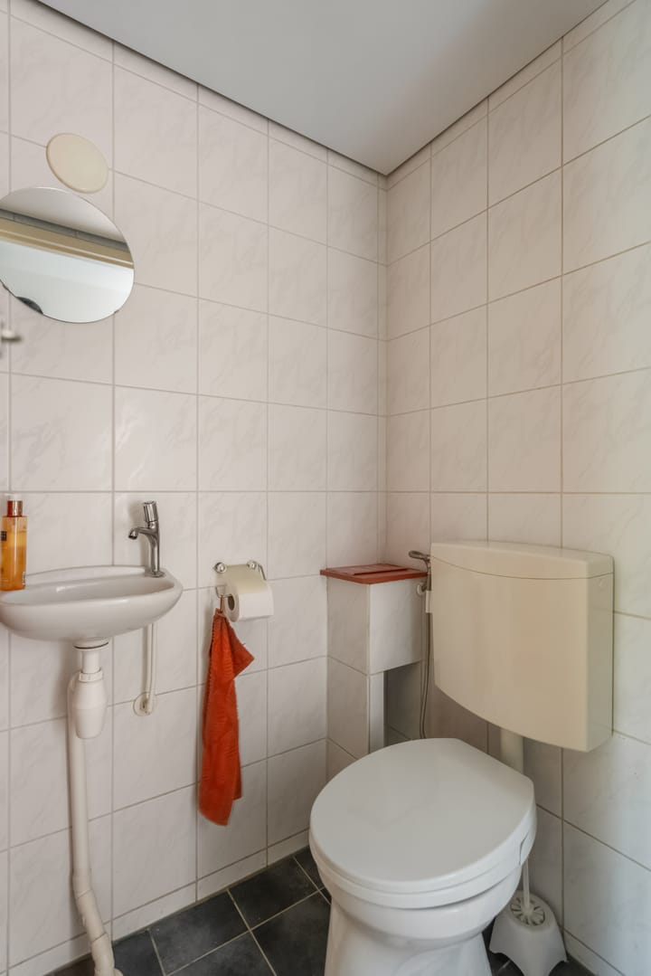 Foto 12 van Nijensteinheerd 245