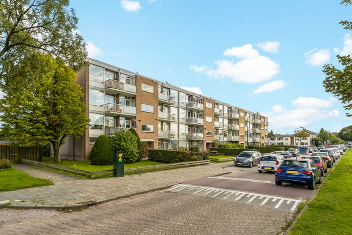 Foto 21 van Dr. Arienslaan 136