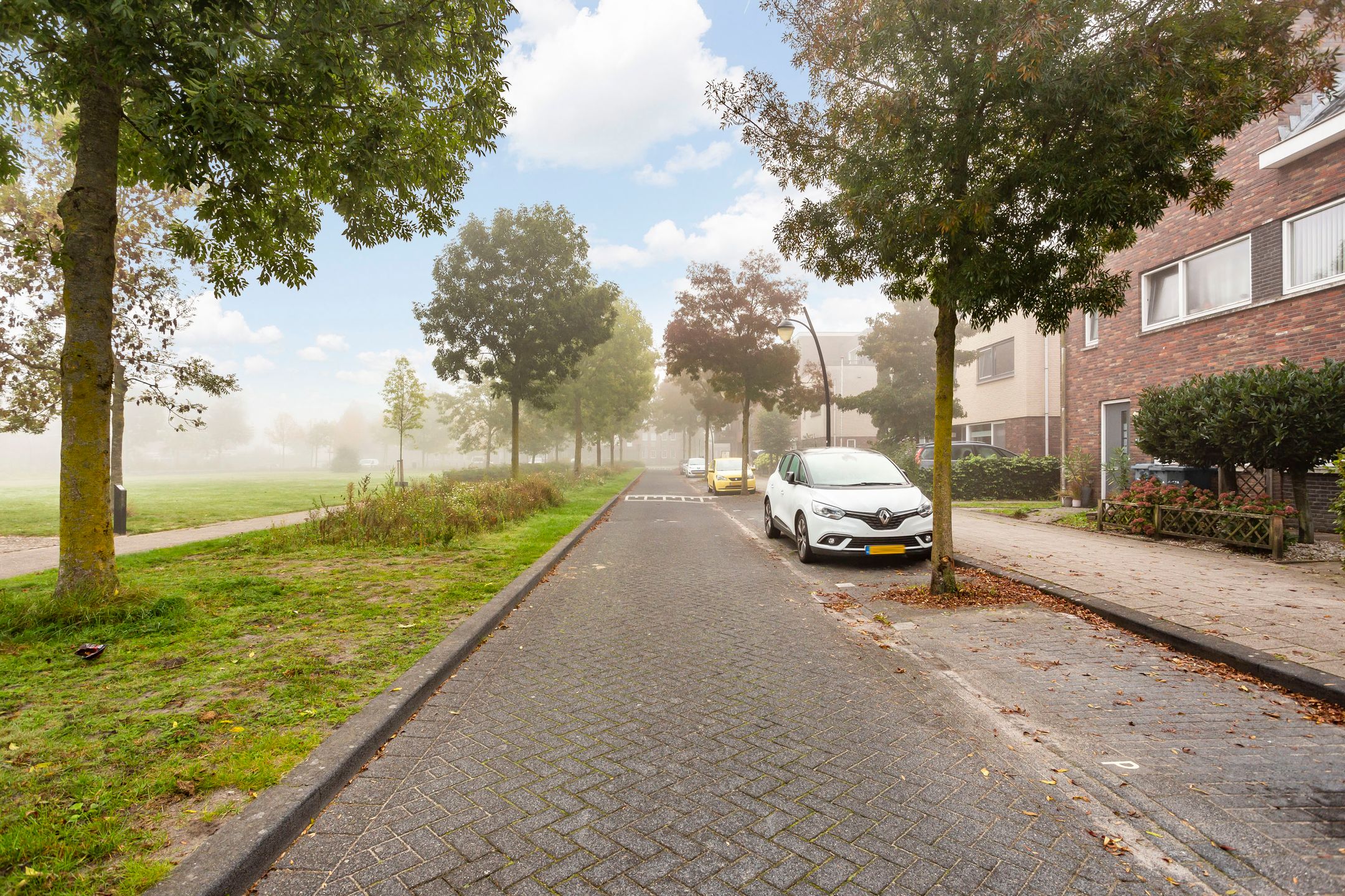 Photo 36 of Cathalijnepolder 8