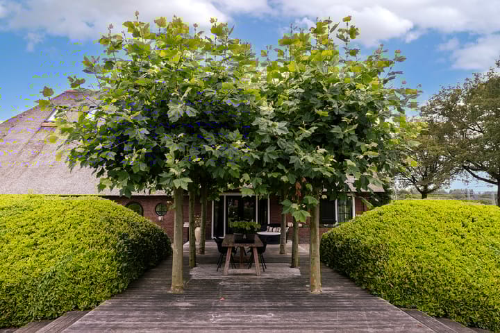 Foto 41 van Hollewandsweg 38