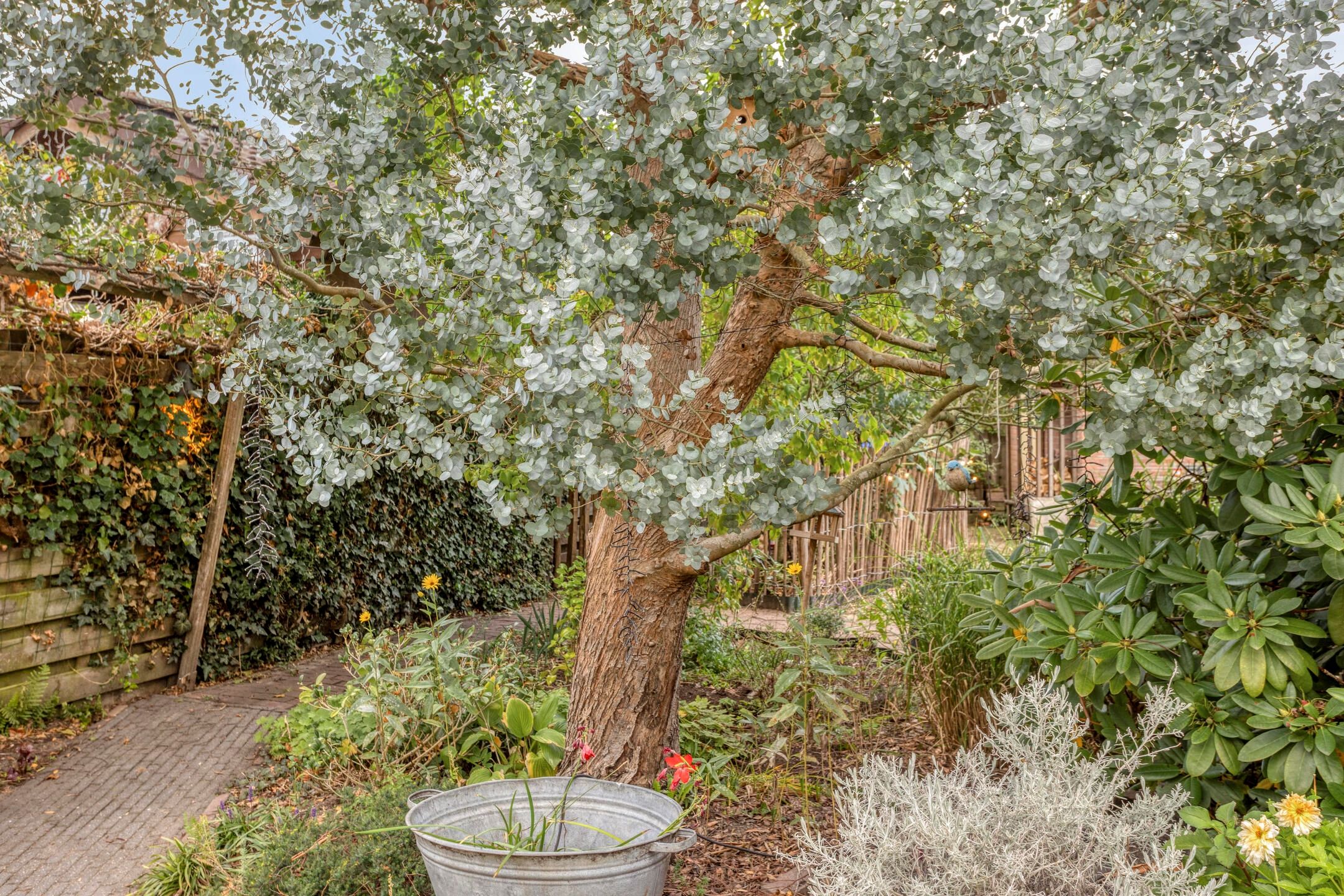 Foto 39 van Esdoorndreef 12