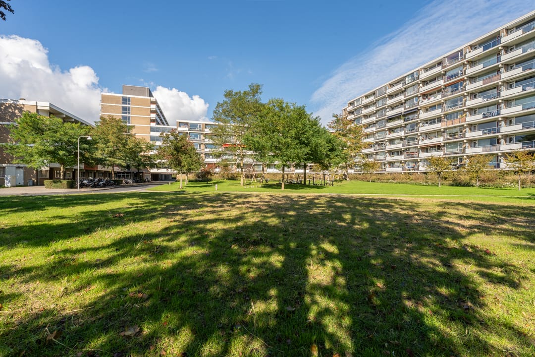 Photo 47 of Martin Luther Kinglaan 64