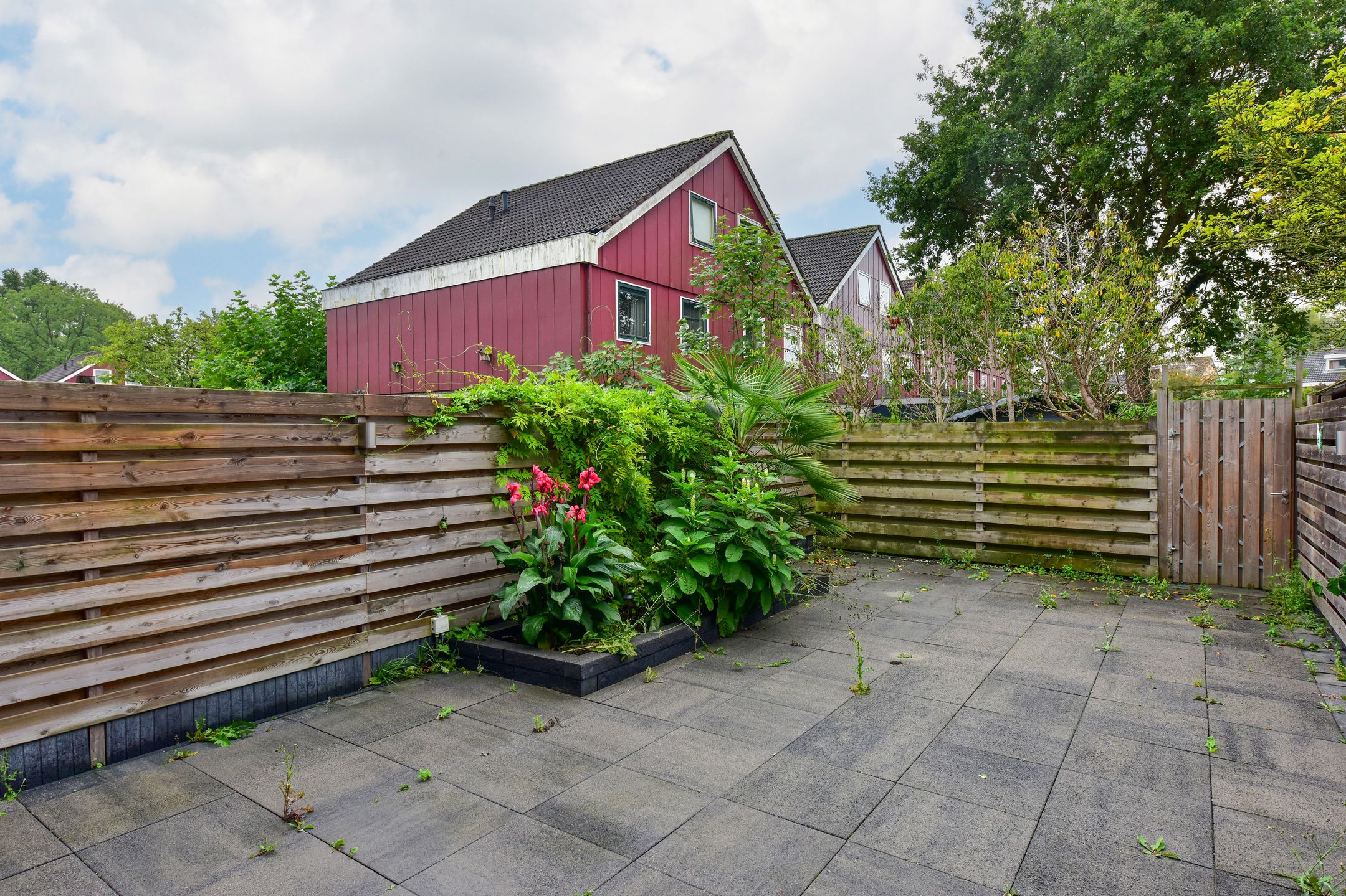 Foto 21 van Kickestein 33