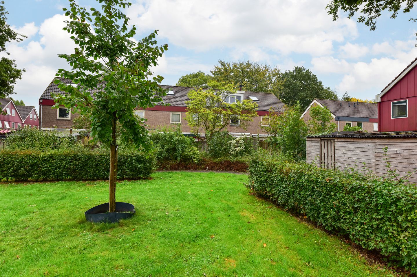 Foto 25 van Kickestein 33