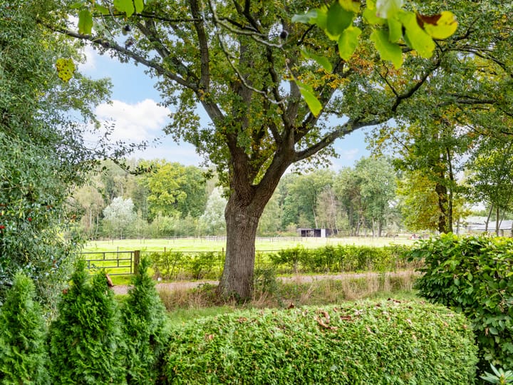 Foto 18 van Kraaiheide 82