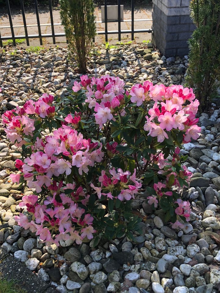 Foto 67 van Kraaiheide 82