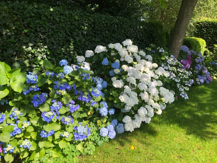 Foto 69 van Kraaiheide 82