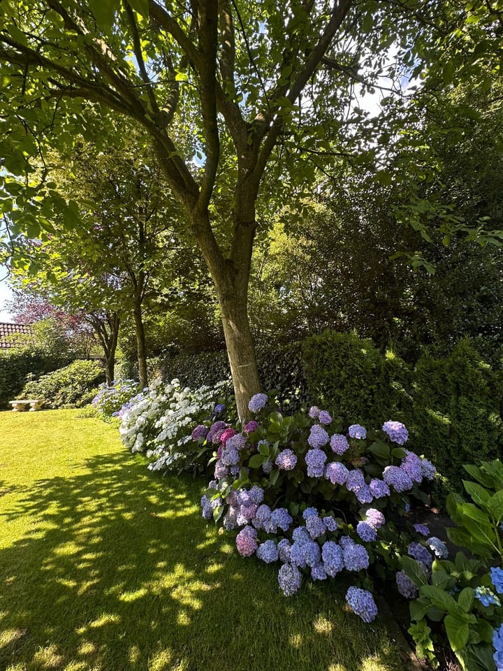 Foto 70 van Kraaiheide 82